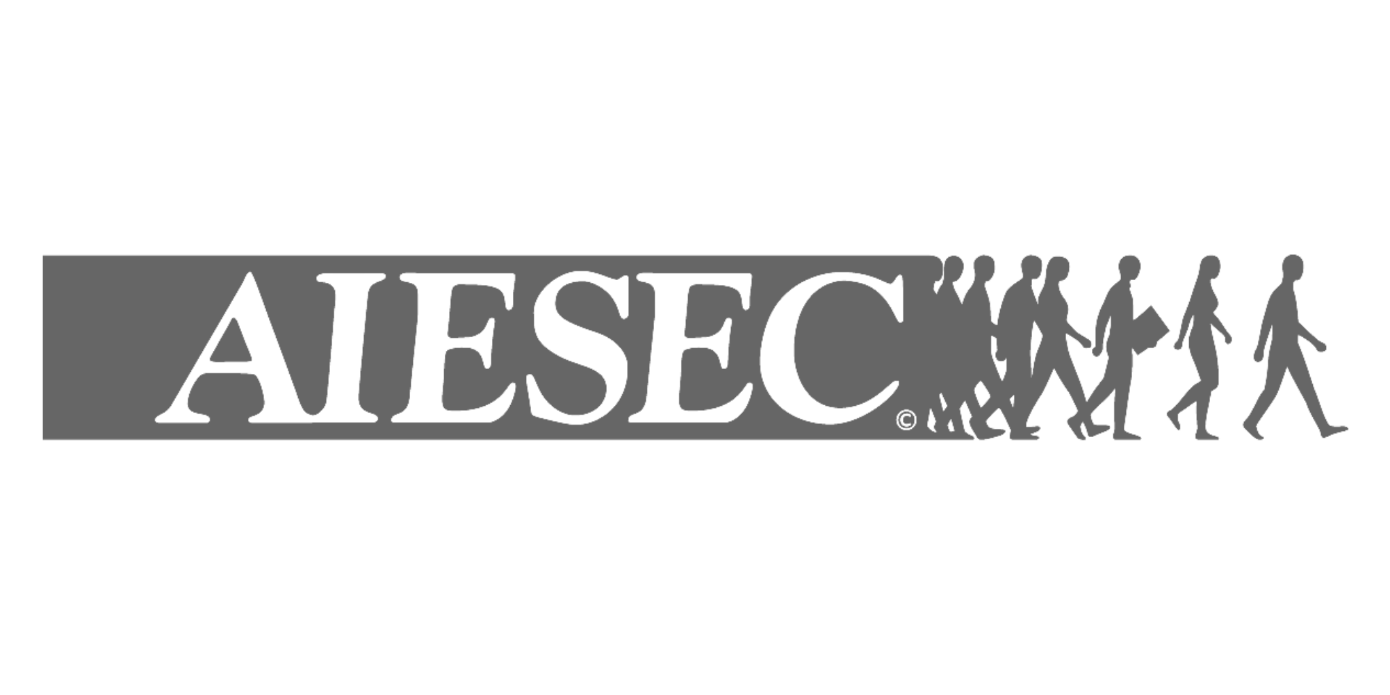 AIESEC u BiH